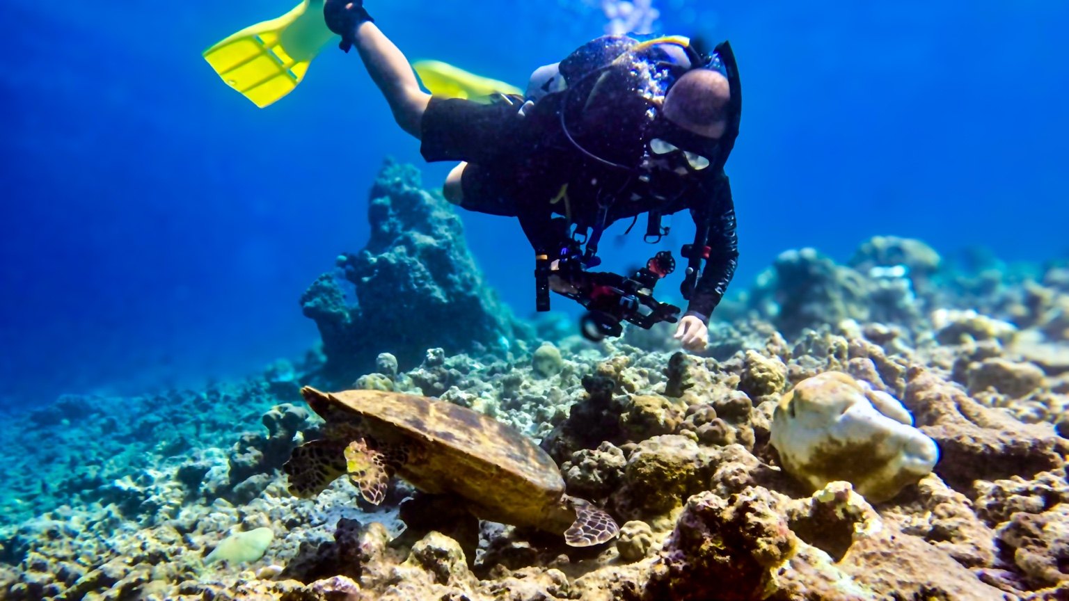 Dimitrios V. Smirnich diving with an underwater camera near a sea turtle